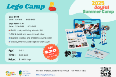 Robotics Lego Wedo / Lego 9686